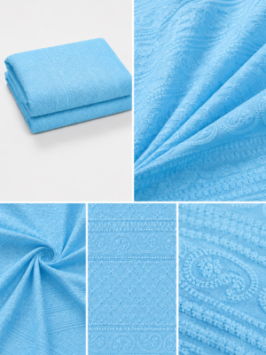 Premium Chikankari Georgette Fabric — Blue
